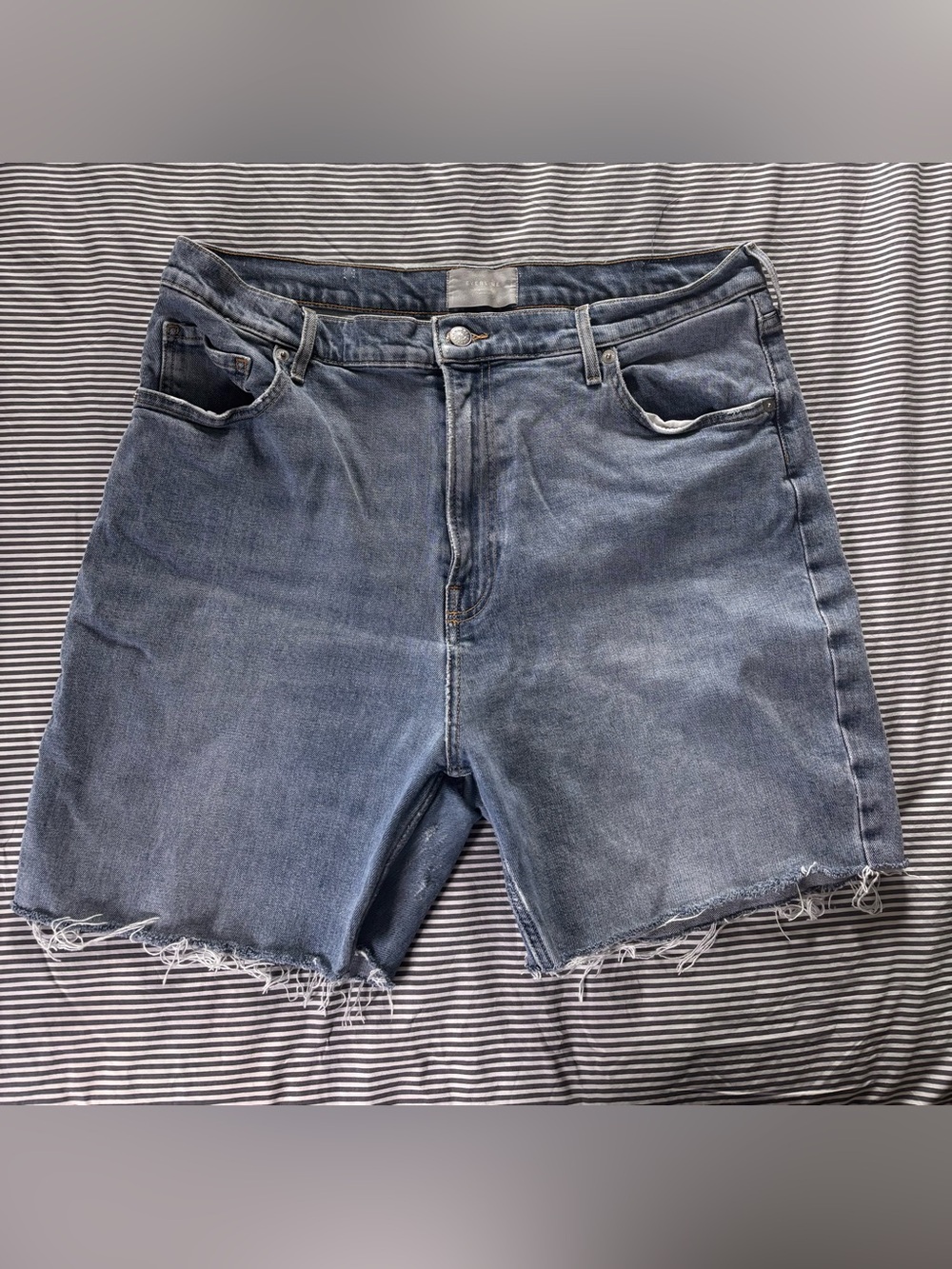 Everlane Blue Denim Cutoff Shorts
